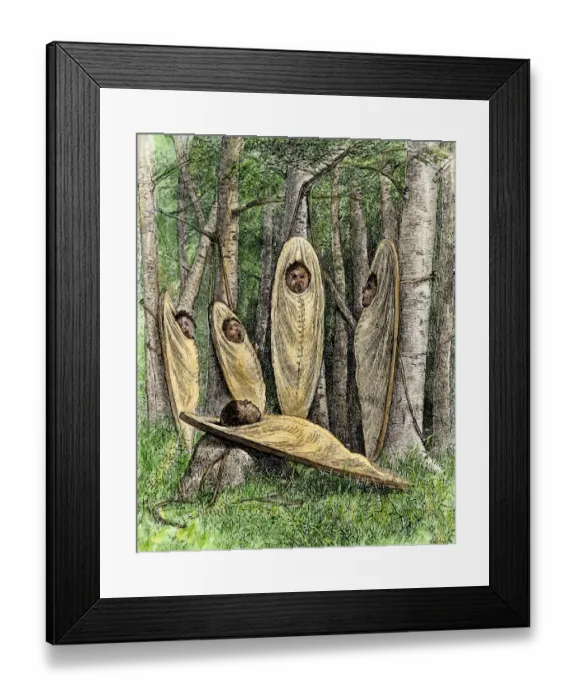 Framed Print : Group of Sioux babies in cradleboards amusing themselves Framed Print : Group of Sioux babies in cradleboards amusing themselves