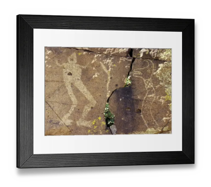 Framed Print : Petroglyphs of a plumed serpent (right) and a human figure near Galisteo Framed Print : Petroglyphs of a plumed serpent (right) and a human figure near Galisteo