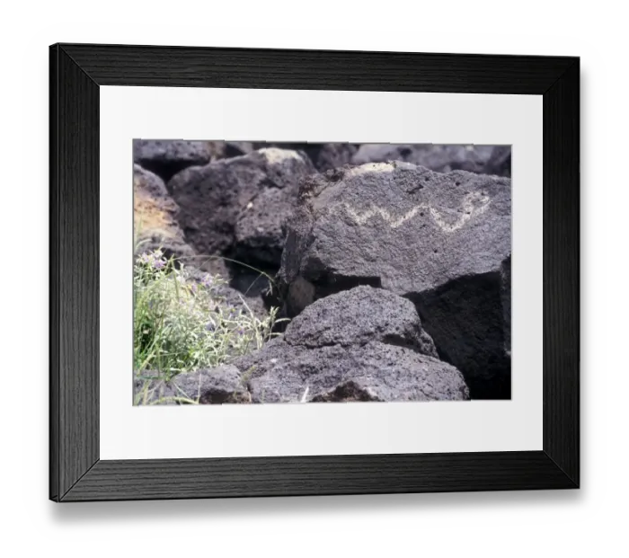 Framed Print : Petroglyph of a snake inscribed in basalt Framed Print : Petroglyph of a snake inscribed in basalt