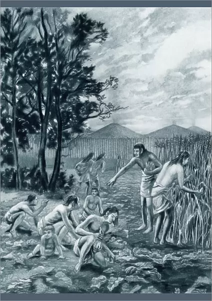 Moundbuilders harvesting corn and squash