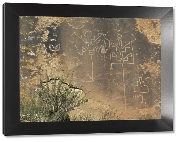 Petroglyphs in Lobo Canyon, NM