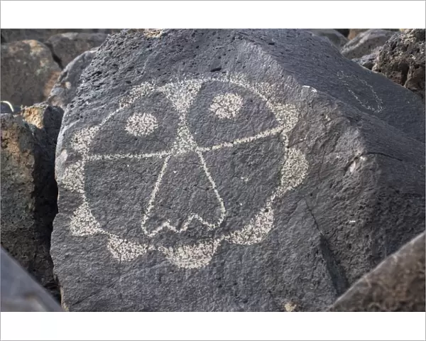 Thunderbird petroglyph near Albuquerque, New Mexico