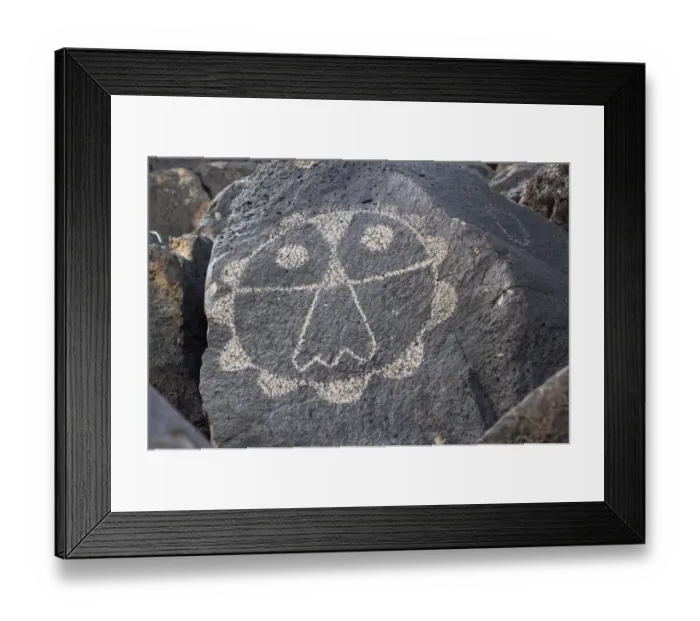 Framed Print : Thunderbird petroglyph near Albuquerque, New Mexico Framed Print : Thunderbird petroglyph near Albuquerque, New Mexico