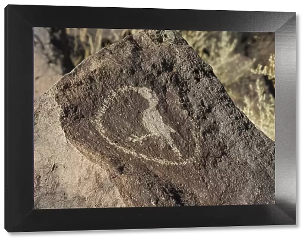 Petroglyph of a bird eating a snake, New Mexico