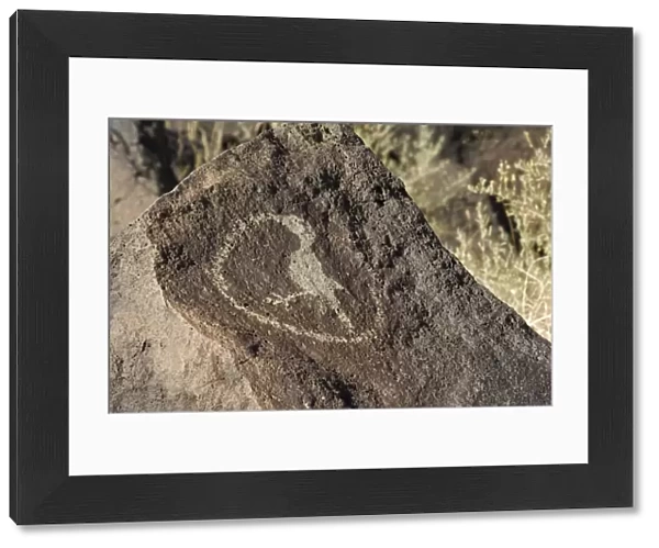 Petroglyph of a bird eating a snake, New Mexico