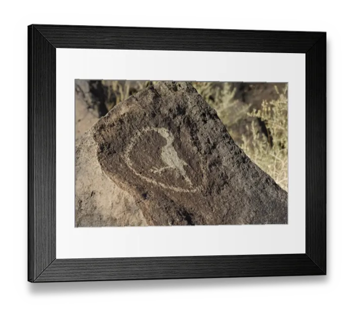 Framed Print : Petroglyph of a bird eating a snake, New Mexico