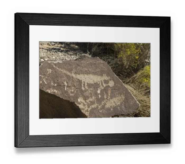 Framed Print : Petroglyph near Albuquerque, New Mexico Framed Print : Petroglyph near Albuquerque, New Mexico