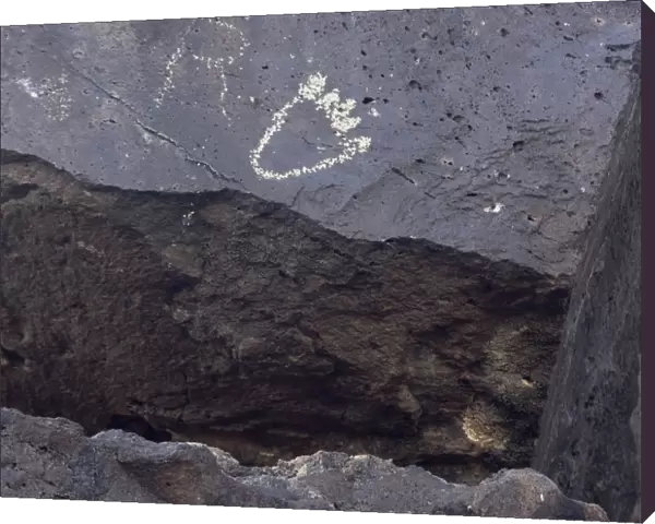 Petroglyph of a bears paw near Albuquerque, New Mexico