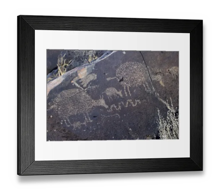 Framed Print : Petroglyphs of animals near Albuquerque, New Mexico Framed Print : Petroglyphs of animals near Albuquerque, New Mexico