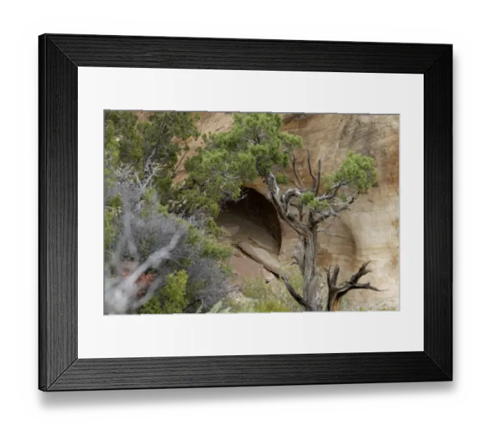 Framed Print : Massacre Cave, where many Navajo were killed by Spanish soldiers firing from photographers location in Canyon de Chelly