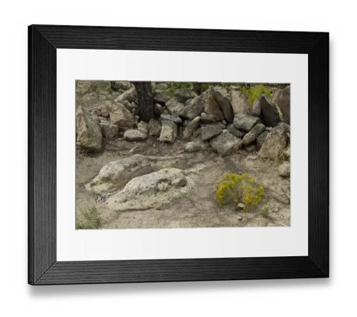 Framed Print : Shrine of the Stone Lions