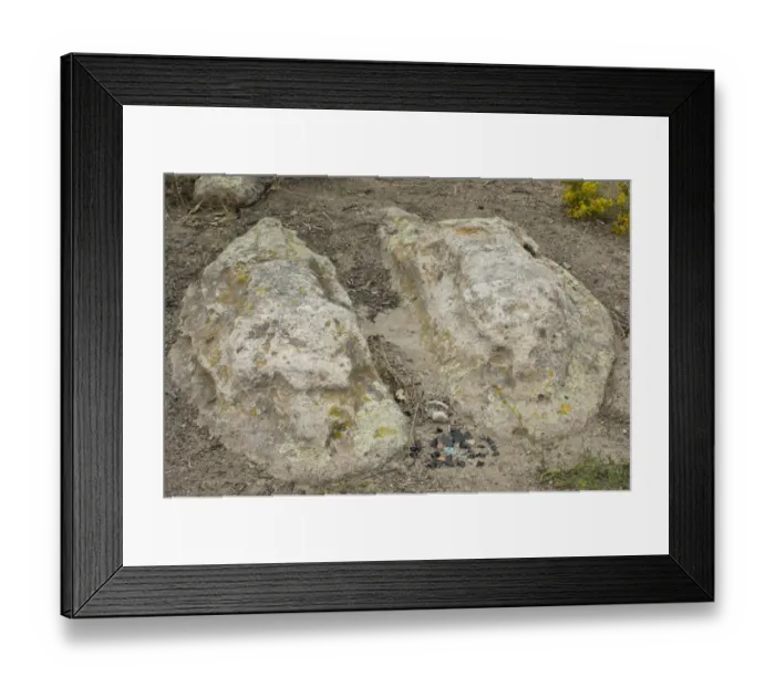 Framed Print : Shrine of the Stone Lions Framed Print : Shrine of the Stone Lions