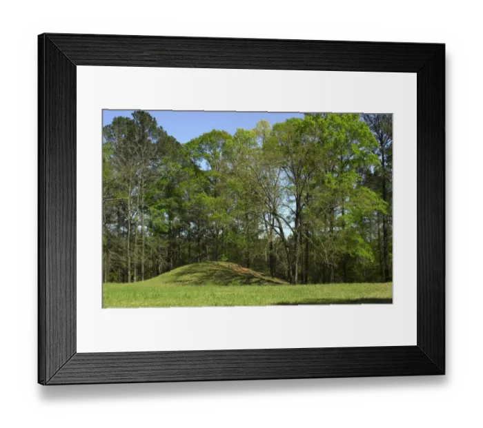 Framed Print : One of the Bynum Mounds Framed Print : One of the Bynum Mounds