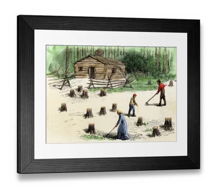 Framed Print : Pioneers planting corn on newly cleared land in the backwoods Framed Print : Pioneers planting corn on newly cleared land in the backwoods