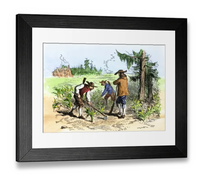 Framed Print : South Carolina colonists planting crops Framed Print : South Carolina colonists planting crops