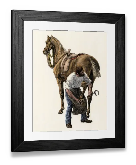 Framed Print : Blacksmith shoeing a horse Framed Print : Blacksmith shoeing a horse