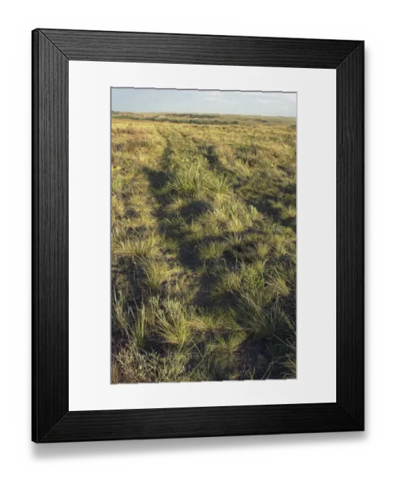 Framed Print : Oregon Trail tracks heading west from Fort Laramie Framed Print : Oregon Trail tracks heading west from Fort Laramie