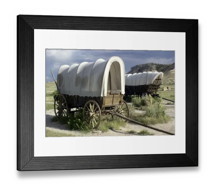 Framed Print : Restored covered wagons (Conestoga wagon at rear) Framed Print : Restored covered wagons (Conestoga wagon at rear)