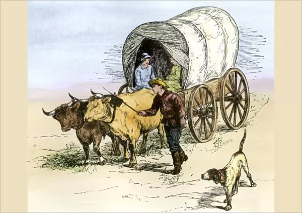 Covered wagon on the prairie