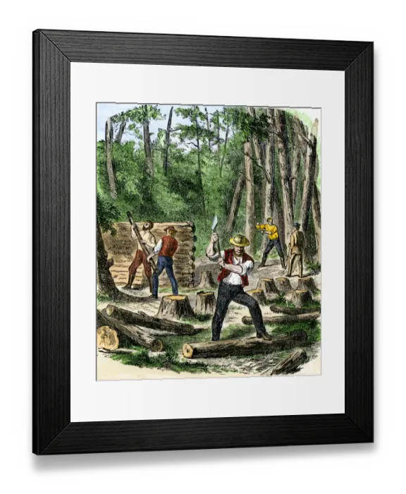 Framed Print : Early settlers of North America clearing land for homes Framed Print : Early settlers of North America clearing land for homes