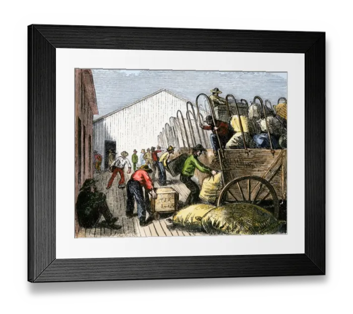 Framed Print : Pioneers loading supplies into wagons for travel across the prairies Framed Print : Pioneers loading supplies into wagons for travel across the prairies