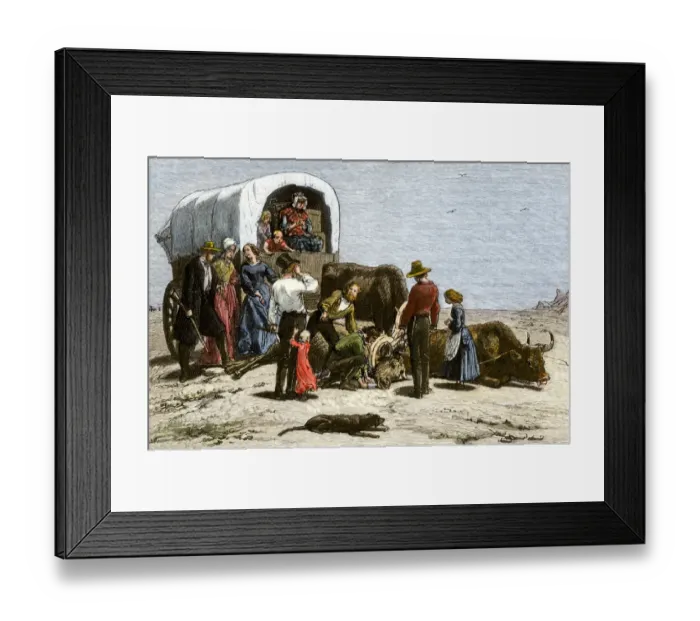 Framed Print : Oxen dying of thirst on a wagon trail Framed Print : Oxen dying of thirst on a wagon trail