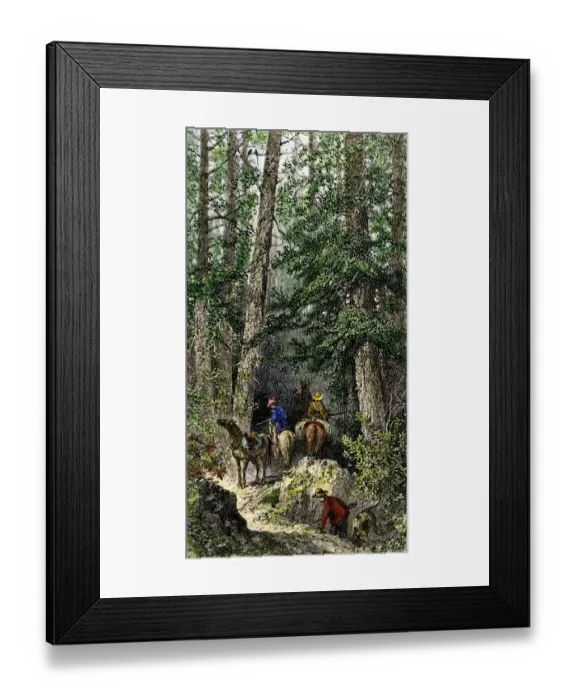 Framed Print : Pioneers entering the wilderness on horses Framed Print : Pioneers entering the wilderness on horses