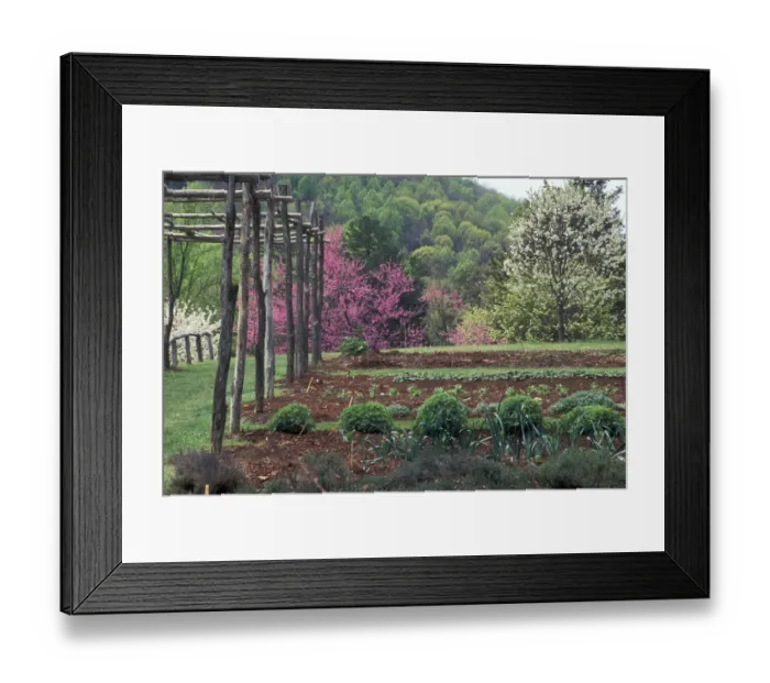 Framed Print : Monticello vegetable garden Framed Print : Monticello vegetable garden