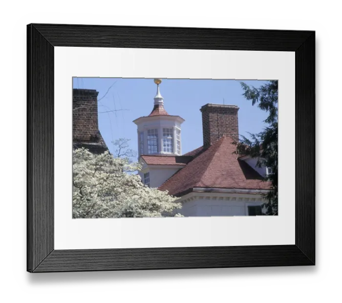 Framed Print : Mount Vernon rooftops
