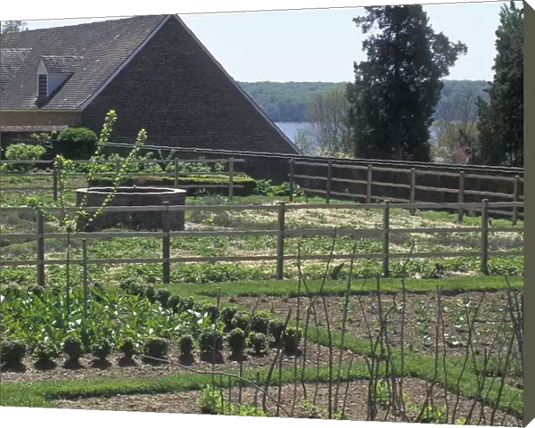 Mount Vernon vegetable garden