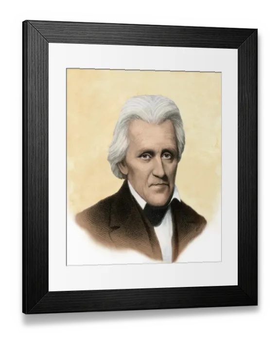 Framed Print : Andrew Jackson Framed Print : Andrew Jackson