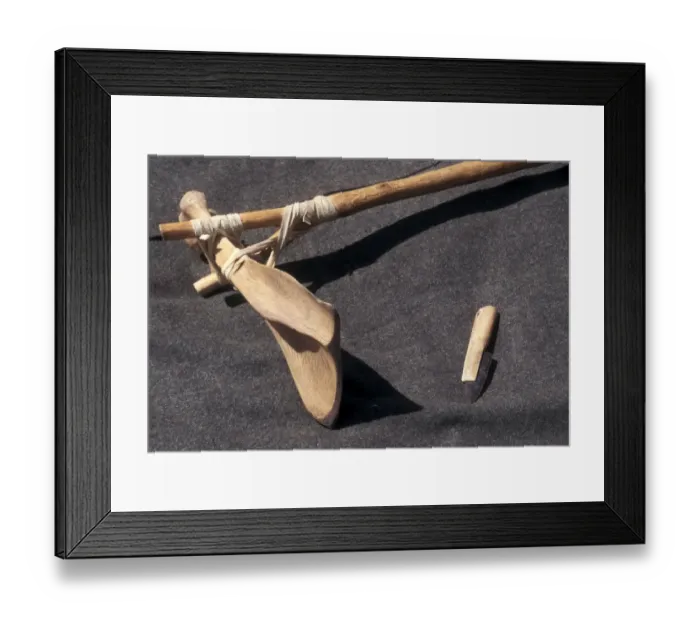Framed Print : Replica Native American hoe made of a buffalo shoulder-blade Framed Print : Replica Native American hoe made of a buffalo shoulder-blade