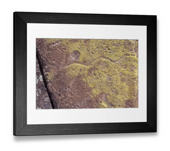 Framed Print : Native American petroglyph of a snake Framed Print : Native American petroglyph of a snake