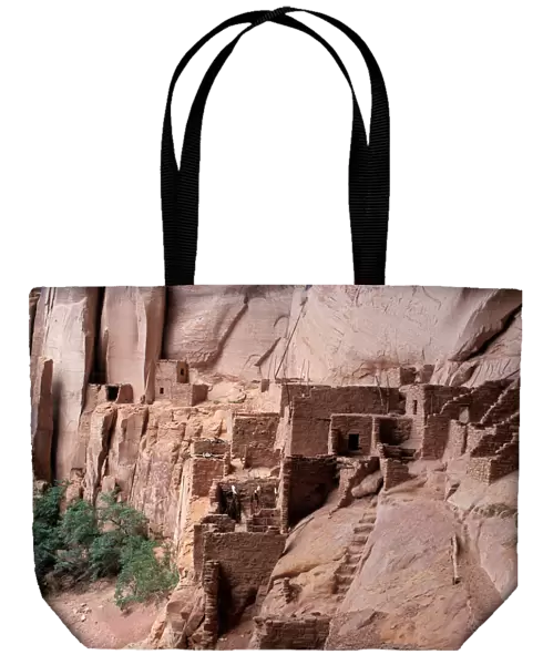 Anasazi  /  Ancestral Puebloan cliff-dwelling, Betatakin