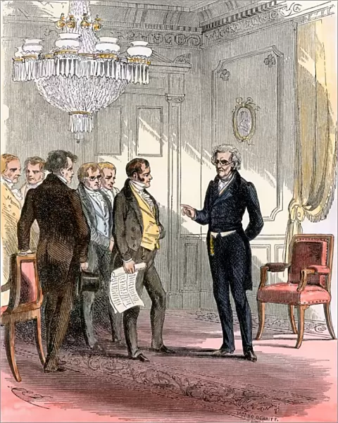 Andrew Jackson in the White House