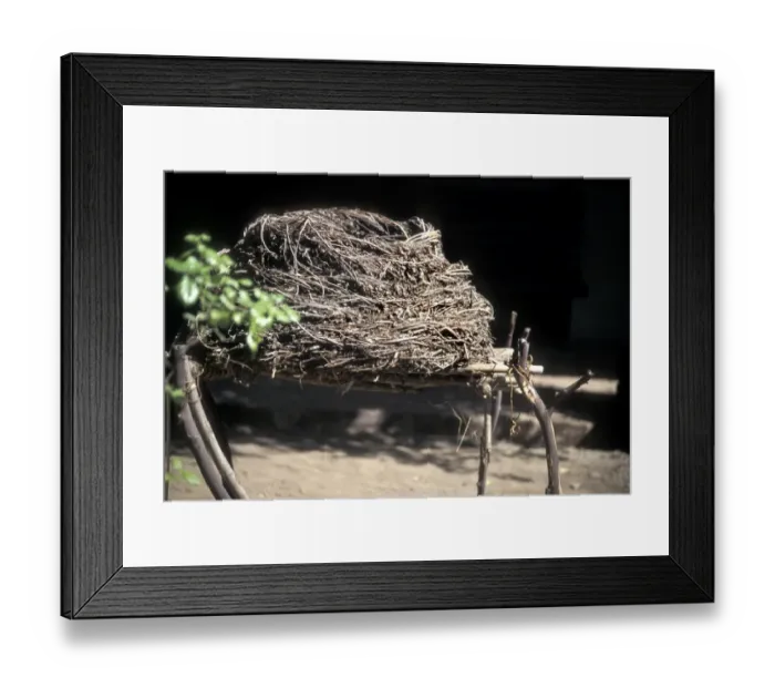 Framed Print : Reconttructed Native American basket for storing acorn harvest Framed Print : Reconttructed Native American basket for storing acorn harvest