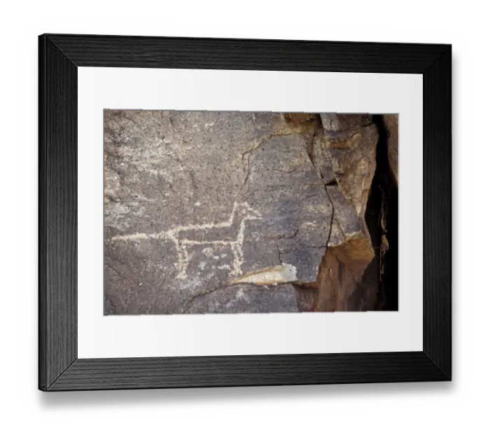 Framed Print : Petroglyph of a coyote or wolf, New Mexico Framed Print : Petroglyph of a coyote or wolf, New Mexico