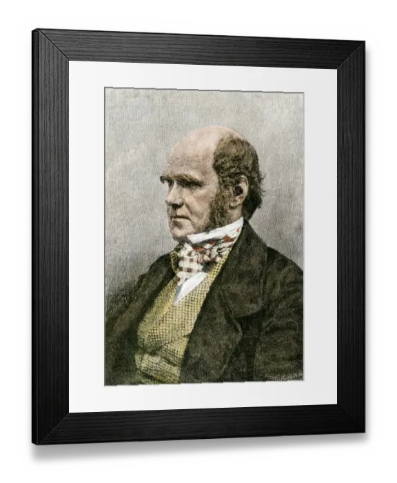 Framed Print : Young Charles Darwin, London