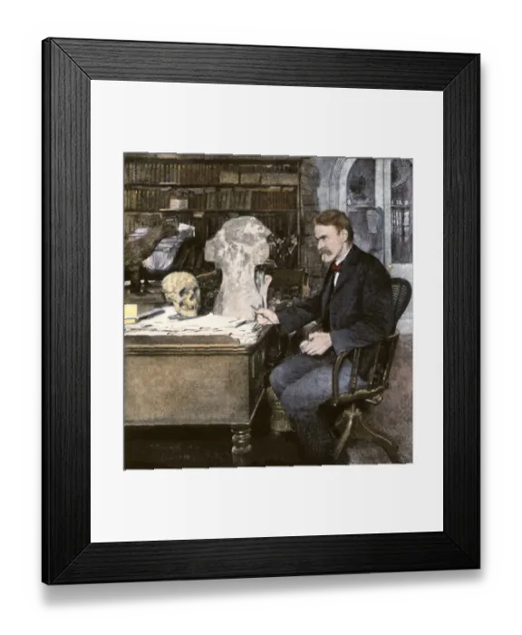 Framed Print : Professor E. D. Cope working at his desk Framed Print : Professor E. D. Cope working at his desk