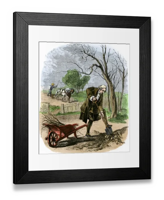 Framed Print : George Washington farming at Mount Vernon Framed Print : George Washington farming at Mount Vernon