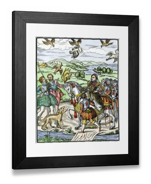 Framed Print : Queen Elizabeth hawking
