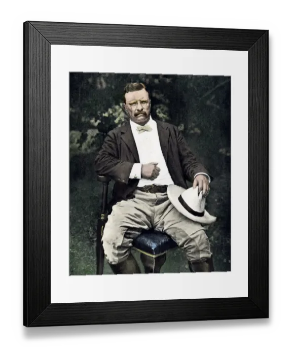 Framed Print : President Theodore Roosevelt seated outdoors