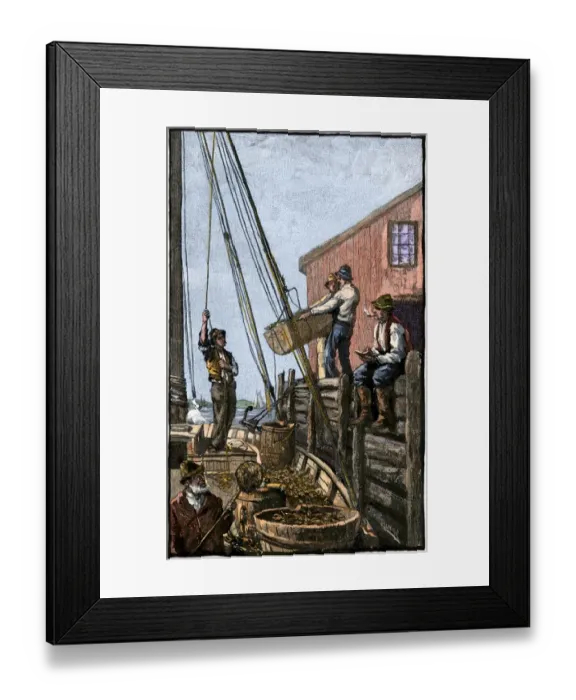 Framed Print : Maine lobstermen unloading their catch Framed Print : Maine lobstermen unloading their catch