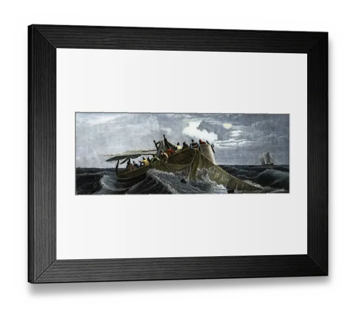 Framed Print : Fishermen using nets, 1800s Framed Print : Fishermen using nets, 1800s
