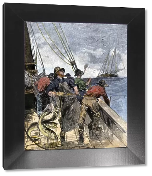 Cod fishing with hand lines, 1800s
