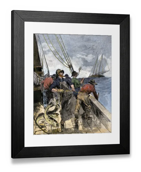 Framed Print : Cod fishing with hand lines, 1800s Framed Print : Cod fishing with hand lines, 1800s