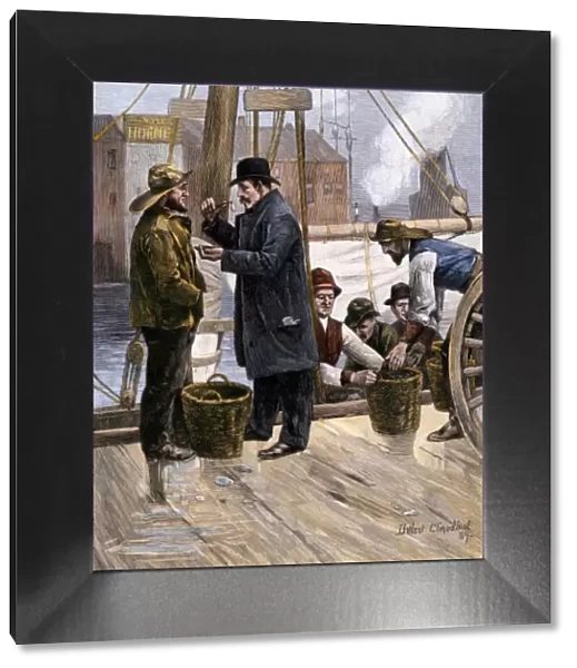 Sampling the Maryland oyster catch, 1800s