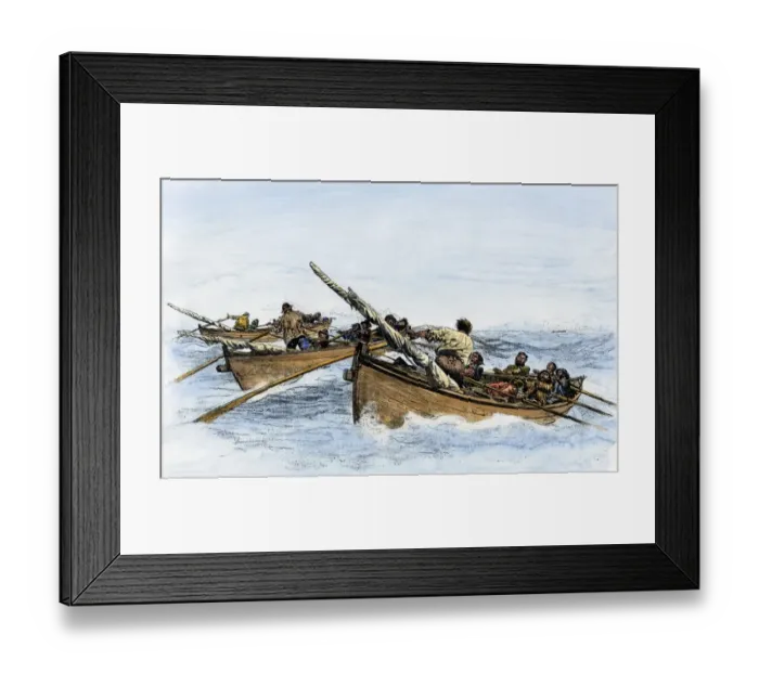 Framed Print : Longboats pursuing a whale, 1800s Framed Print : Longboats pursuing a whale, 1800s