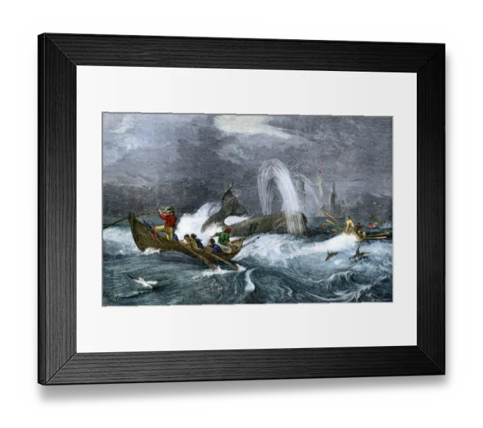 Framed Print : South Sea whaling in the 1800s Framed Print : South Sea whaling in the 1800s