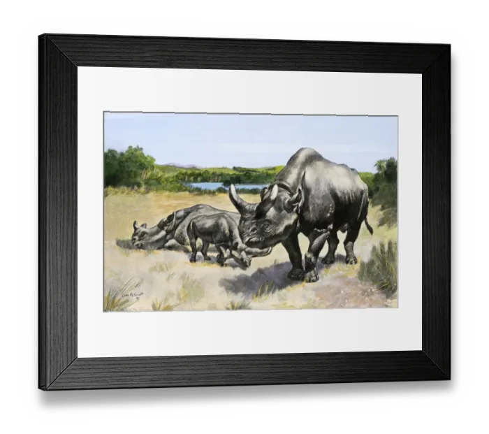 Framed Print : Titanothere, an extinct rhinocerus of North America Framed Print : Titanothere, an extinct rhinocerus of North America